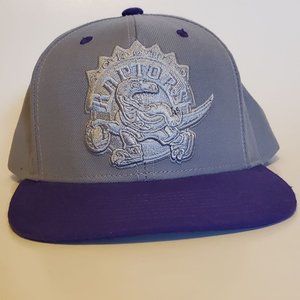 Toronto Raptors Hat